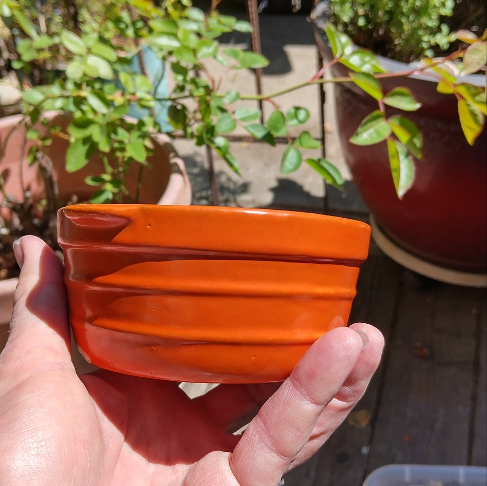 Vibrant Orange Ceramic Bowl